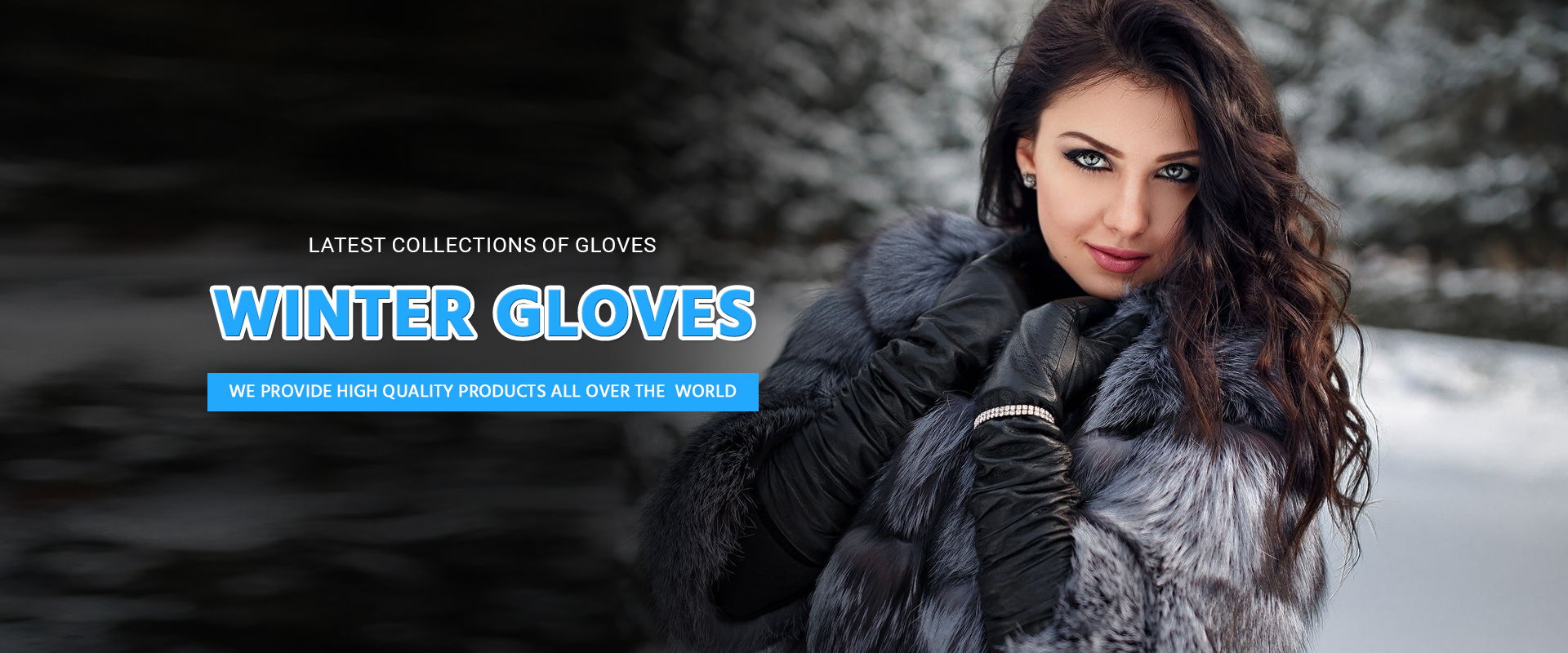 Winter Gloves